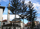 The Helveti Teke