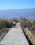 Construction Of Pedestrian Trail